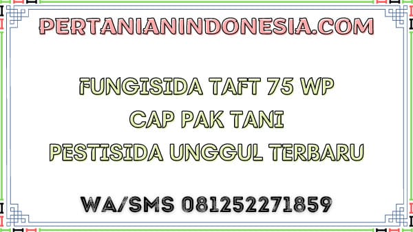 Fungisida Taft 75 WP Cap Pak Tani Pestisida Unggul Terbaru